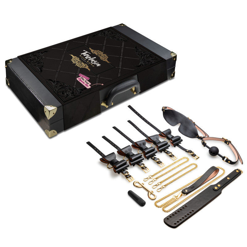 Temptasia Safe Word Bondage Kit with Suitcase-(bl-83605) - BL-83605